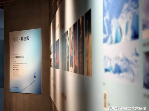 第二屆“凡人微光”人文藝術(shù)展南頭古城啟幕 讓每個(gè)平凡的生命都值得被看見(jiàn)